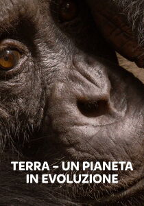 Terra - Un pianeta in evoluzione streaming